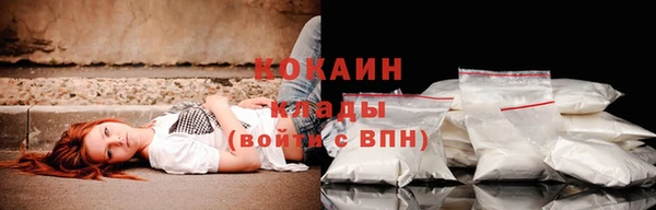 сатива Волосово