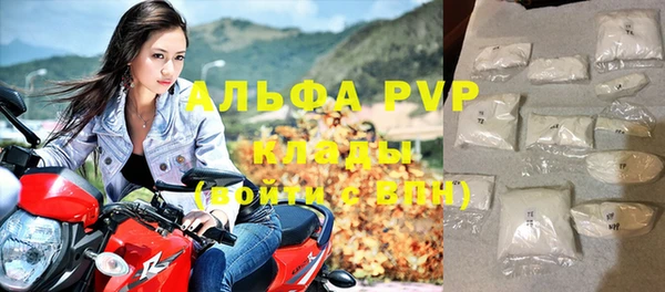 сатива Волосово
