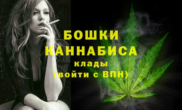 сатива Волосово