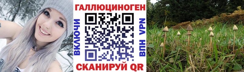 Галлюциногенные грибы MAGIC MUSHROOMS  Хасавюрт 