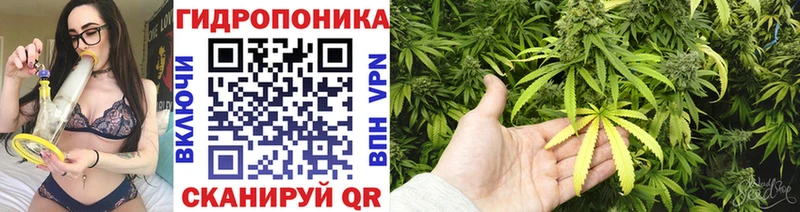 Бошки марихуана Amnesia  Хасавюрт 